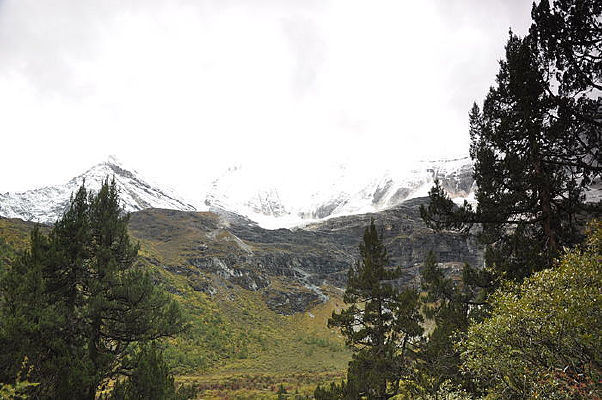 ��������������