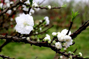 �������һ�