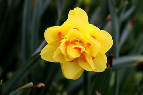 ��ɫ������