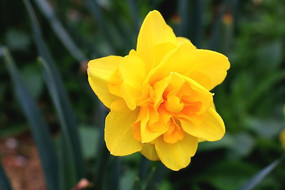 ��ɫ������