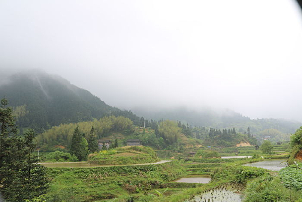 ɽ������