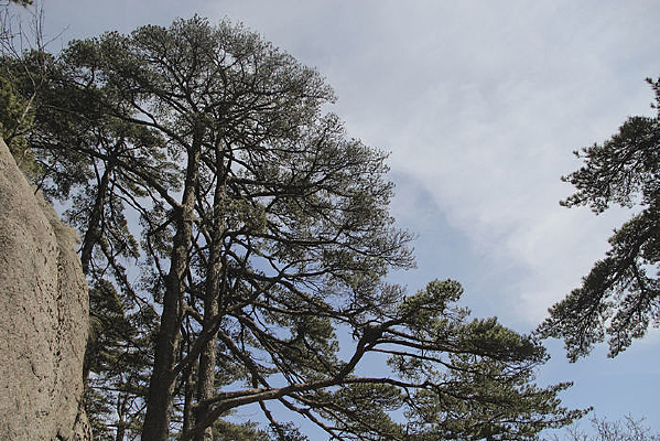 ��ɽ��ӭ����ɽʯ