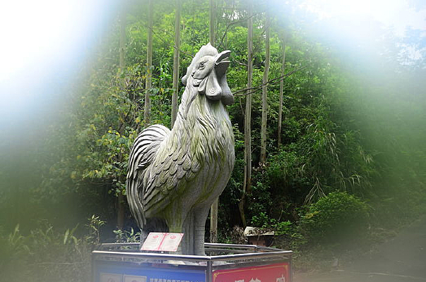 �����һ��