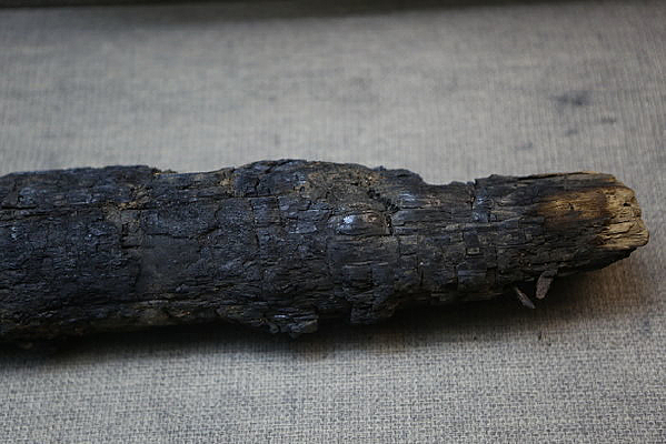 δȼ���Ļ���ľ׮