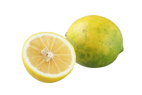 �ױ����ϵ�����