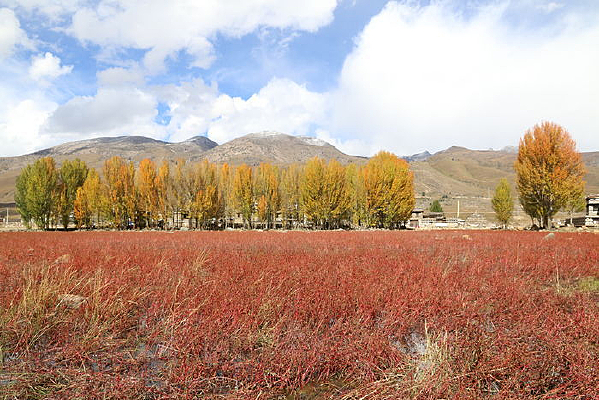 ������ɽ����