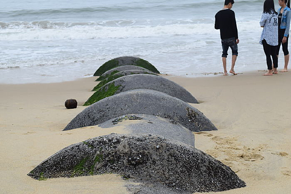 ��������Ӱ