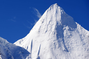 �����Ƕ�������