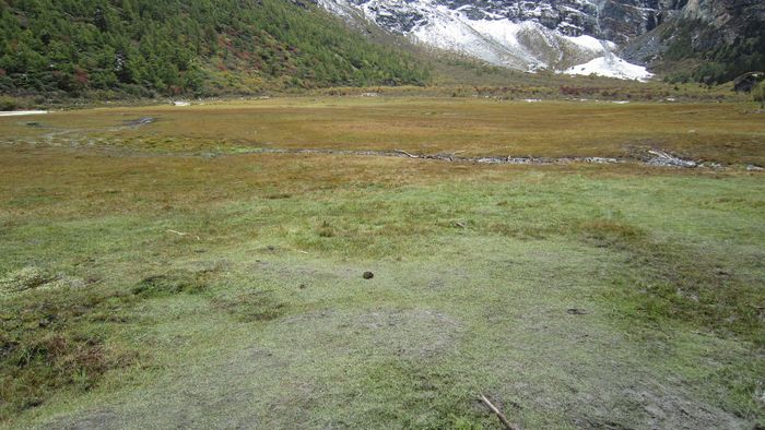 ���Ǿ���