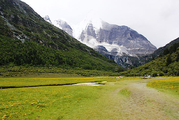 ������������ɫ