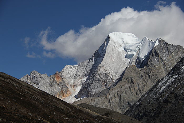 �����Ƕ�����