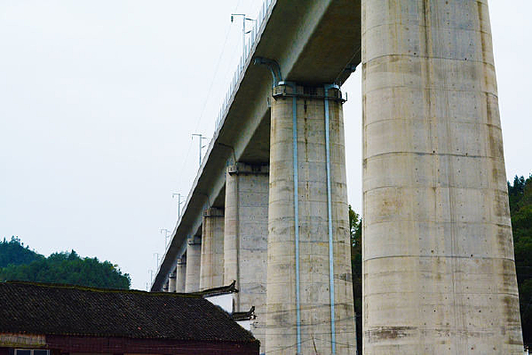 ������ͼƬ