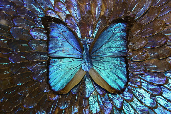 ��ɫ��������ƴ�ӻ�