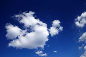 �������Ʋ�