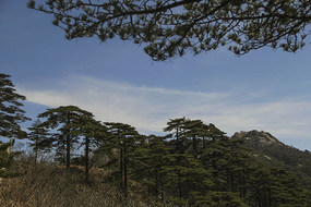 ��������ɽ��