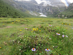 ���������¾���