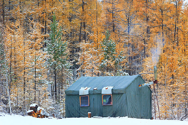 ����������ѩ