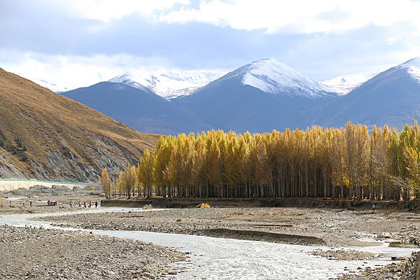 �Ƕ�������ɽ