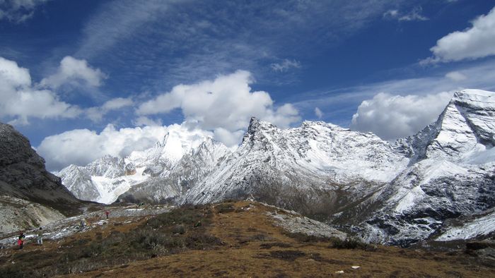 �Ƕ�����