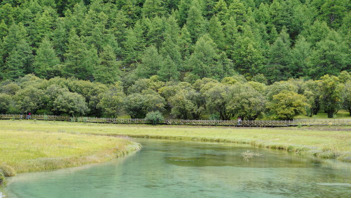 �Ƕ�ɽˮ����