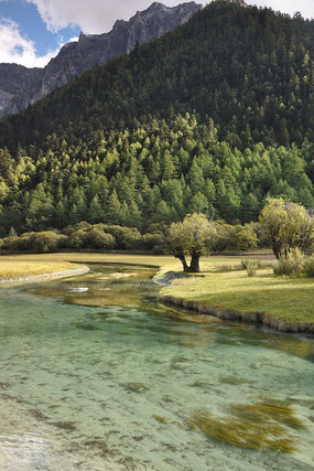 �Ƕ�ɽˮ����