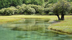 �Ƕ�ɽˮ����