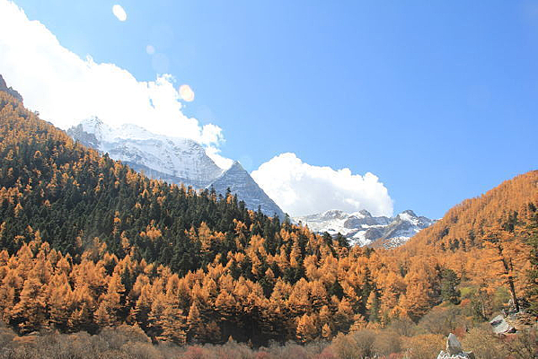 �Ƕ������վ���