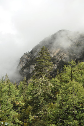 �����Ƕ�����