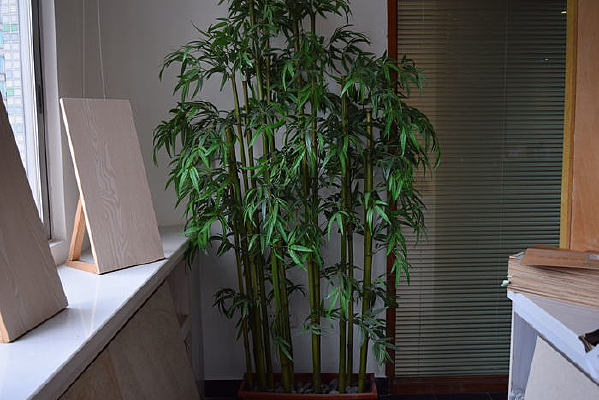 ������Ӱ