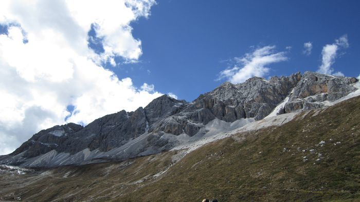 ����ţ�̺�����