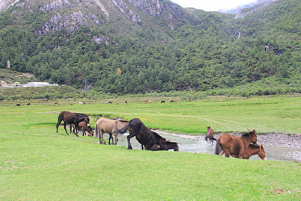 ����ɽˮ����