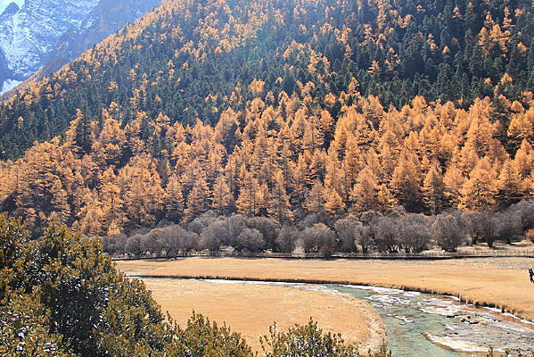 ����ɽˮ����