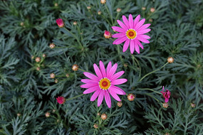 �ۺ�Ľ�ջ���