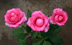 ��ɫ�¼���