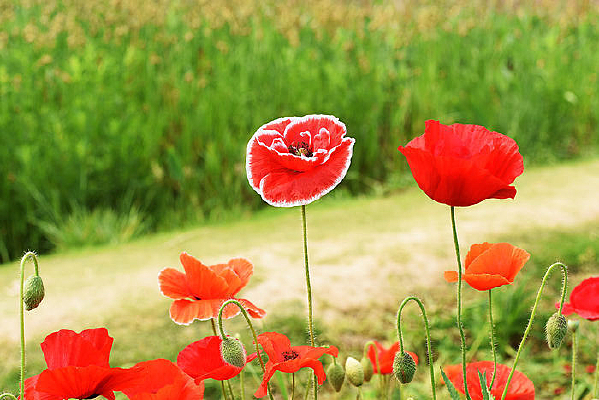 �߸�������