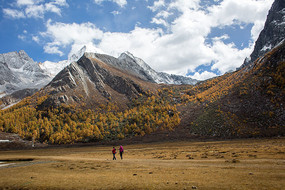 �����Ƕ�����