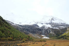 �����Ƕ�����