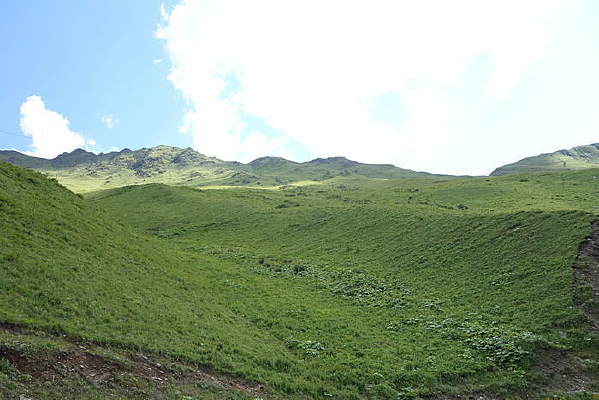 �����Ƕ�����