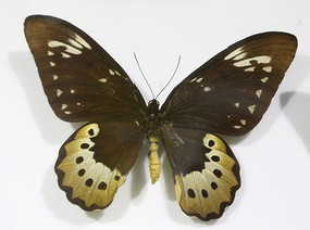 �����������������