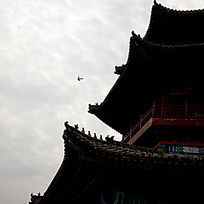 ��ɲ����