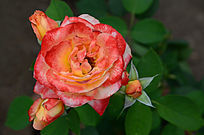 ���Ķ��˵��¼���