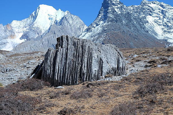 �����Ƕ�����