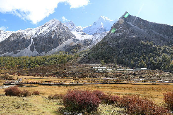 �����Ƕ�����