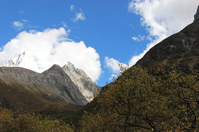 �����Ƕ�����