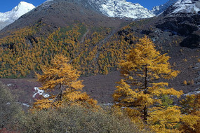 �����Ƕ�����