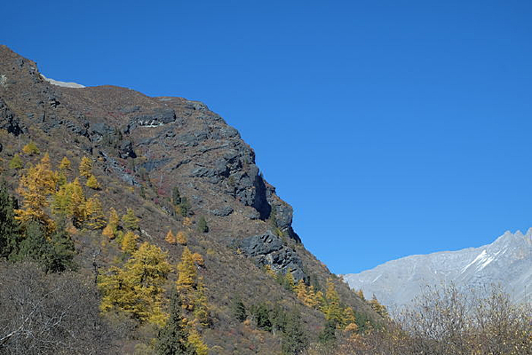 �����Ƕ�����