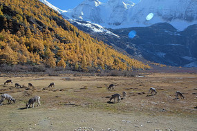 �����Ƕ�����