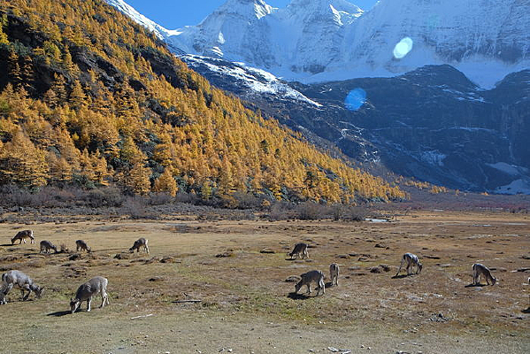 �����Ƕ�����