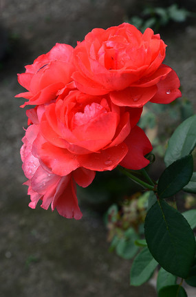 ɫ�ʰ����¼���