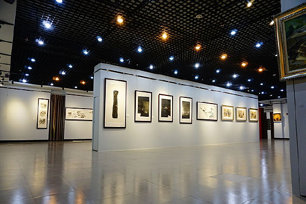 �黭չ�����